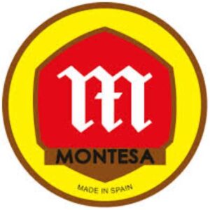 Encendido IMPALA 4 y 5 bobinas