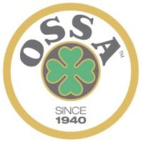 Encendido RA 02 - OSSA TR350